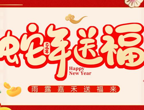 金蛇送福 蛇年大吉